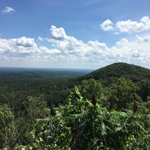 Kennesaw Mountain